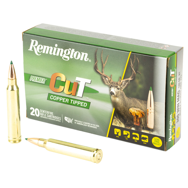 REM PRMRCUT CPR 300WIN 180GR 20/200