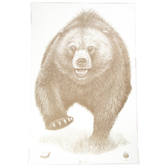 ACTION TGT AK STATE PARK BEAR 100PK