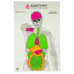 ACTION TGT ANATOMY TRNG 100PK