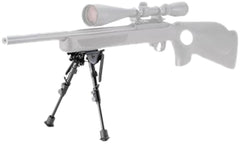 Champion Rock Mount 6