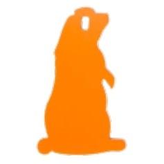 Champion Impact Steel Hanging Animal Targets 1/4