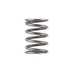 Dead Air Piston Spring for Ghost Odessa and Mojave 9