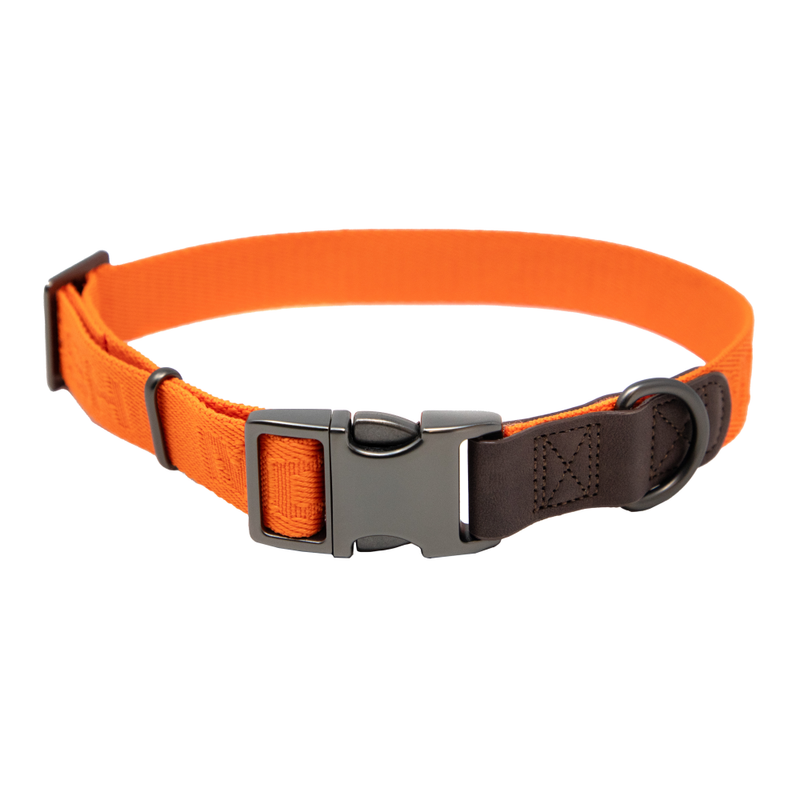 MoMarsh Adjustable Dog Collar 15
