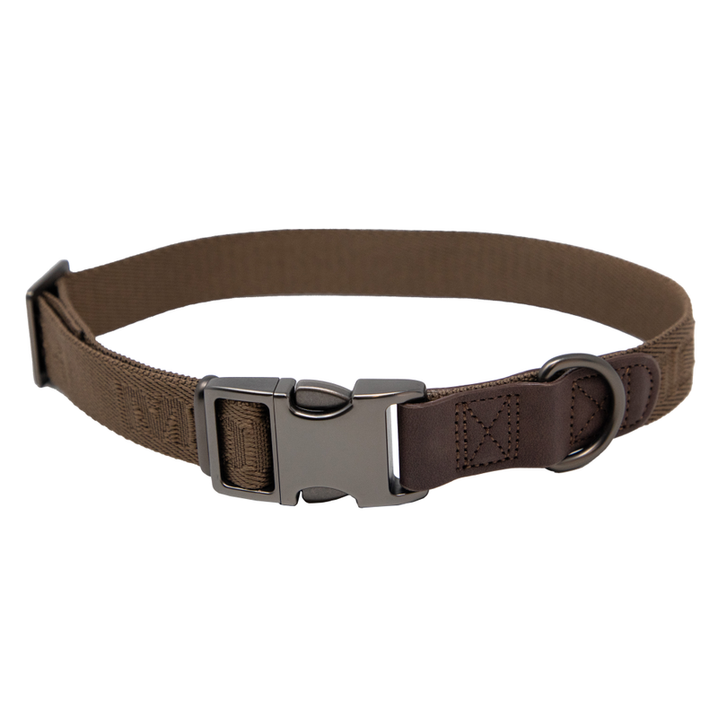 MoMarsh Adjustable Dog Collar 15