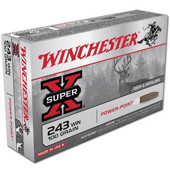 WIN POWER-POINT 243WIN 100GR 20/10