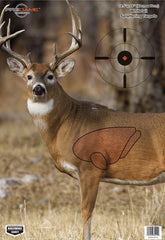 Birchwood Casey Pregame Targets - Deer 16.5