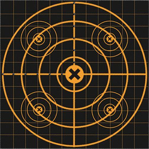 Birchwood Casey Big Burst Revealing Targets Sight-In - 12