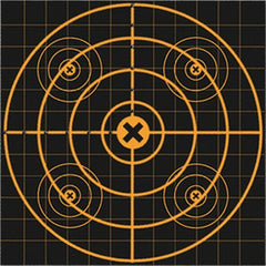 Birchwood Casey Big Burst Revealing Targets Sight-In - 12