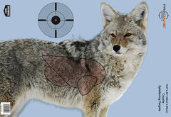 Birchwood Casey Pregame Targets - Coyote 16.5