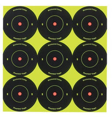 Birchwood Casey Shoot-N-C Targets 2