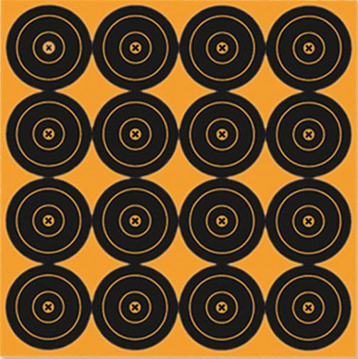 Birchwood Casey Big Burst Revealing Targets 3
