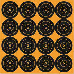 Birchwood Casey Big Burst Revealing Targets 3