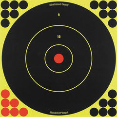 Birchwood Casey Shoot-N-C Bull 12