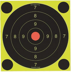 Birchwood Casey Shoot-N-C International Target