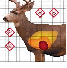 Pro-Shot Mule Deer Sight In Target 25