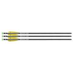 TenPoint EVO-X CenterPunch Lighted Alpha-Blaze Carbon Arrows 20