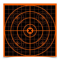 Big Burst 12 Inch Sight-In Target, 3 Targets