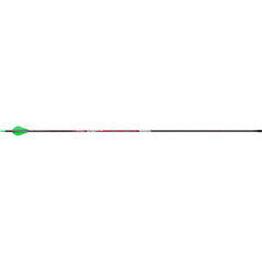 Victory VAP Sport Arrows 300 Raptor Vanes 6 pk.
