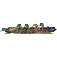 Avian X Top Flight Duck Decoys Early Season Mallards 6 pk.