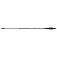 Gold Tip AirStrike Arrows 250 Raptor Vanes 6 pk.