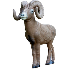 Rinehart 1/2 Scale Signature Bighorn Sheep Target
