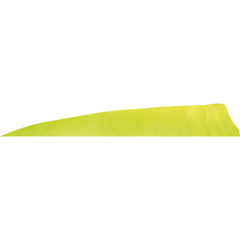 Gateway Shield Cut Feathers Lemon Lime 4 in. LW 50 pk.