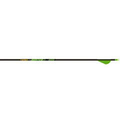 Gold Tip Hunter XT Arrows 300 Raptor Vanes 6 pk.