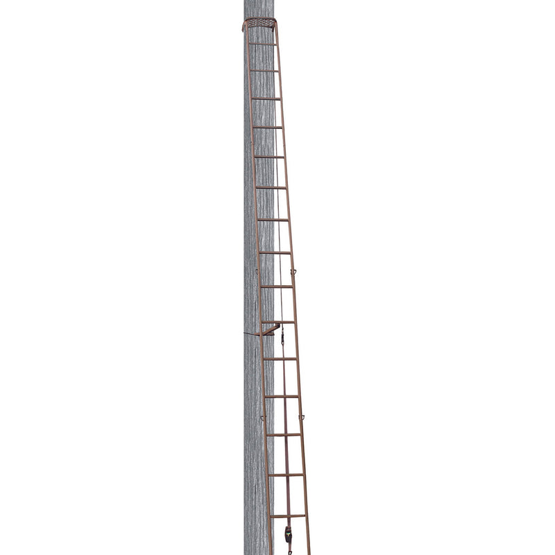 Trophy Treestands Hangtime Ladder