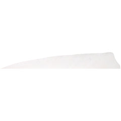 Gateway Shield Cut Feathers White 5 in. RW 100 Pk.