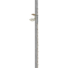 Trophy Treestands Archers Roost Combo Hang On Stand & 20ft. Climbing Sticks
